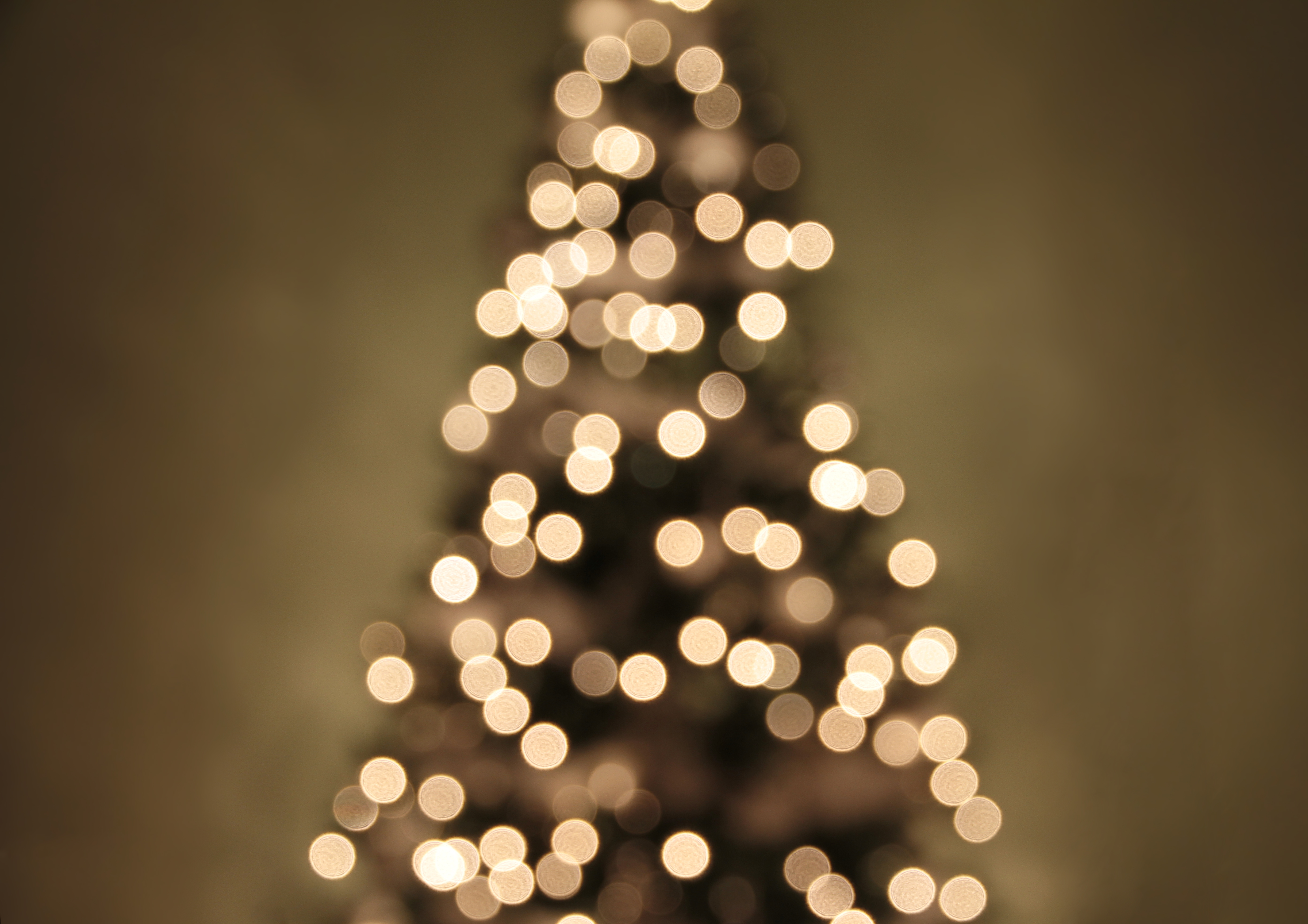 Christmas Tree Christmas Tree