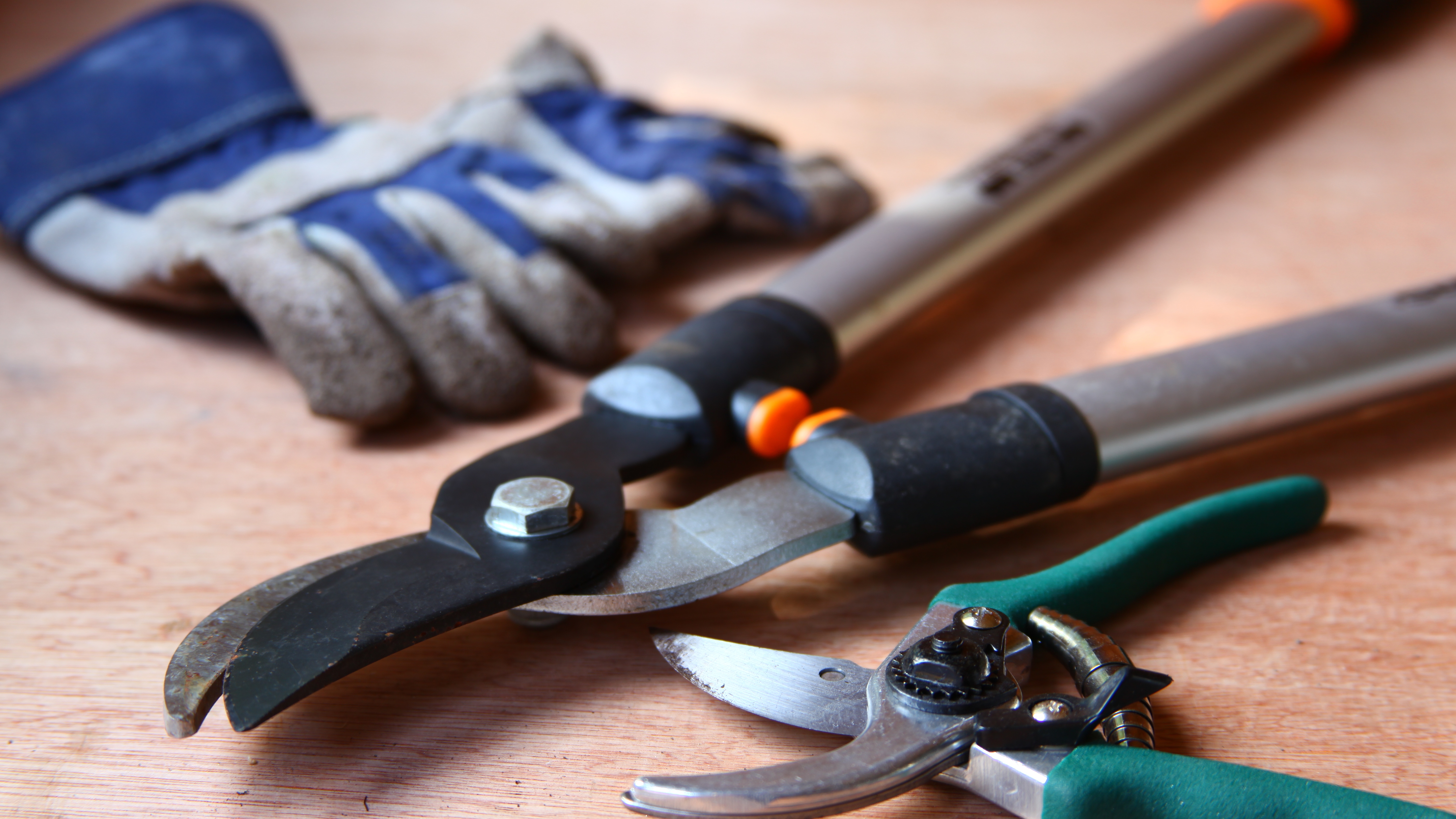Accidents to Domestic Employees