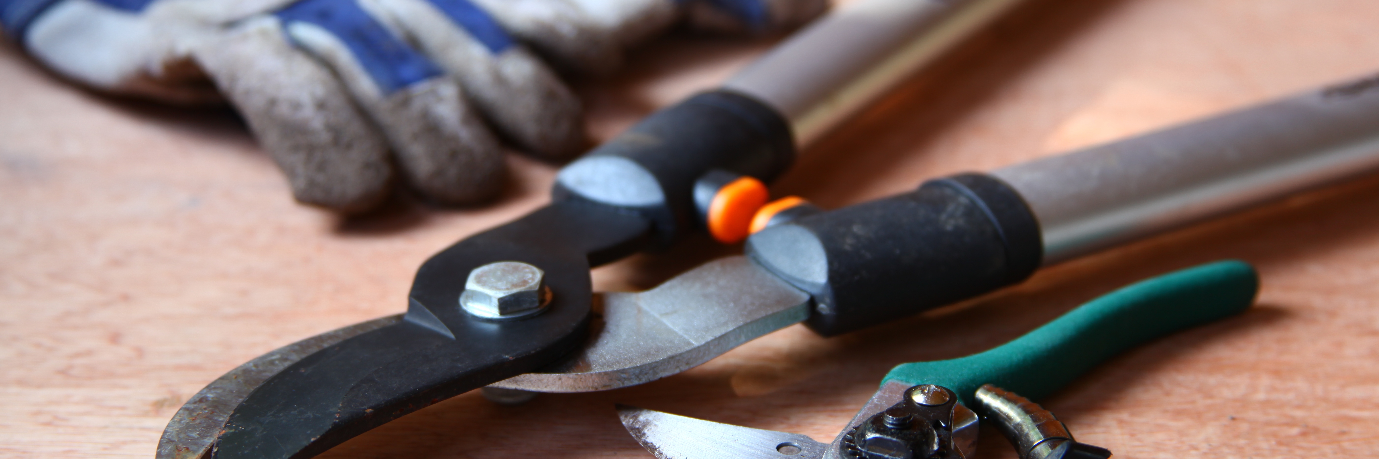Accidents to Domestic Employees Accidents to Domestic Employees